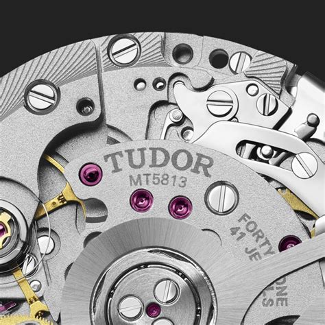 tudor cosc 4 6